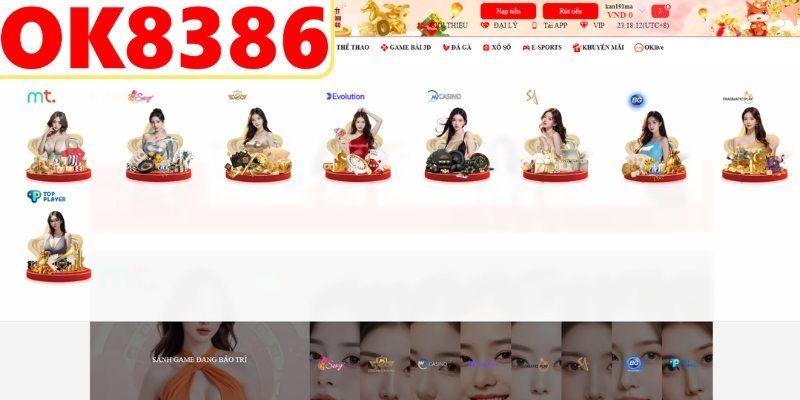 Hệ thống sảnh cược với nhiều lựa chọn hấp dẫn