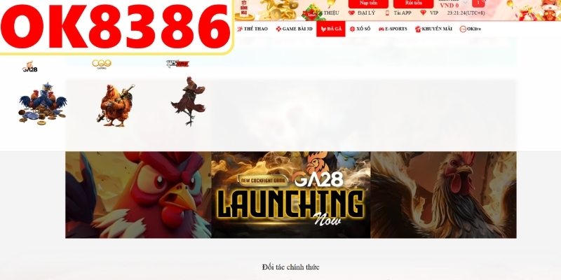 Sảnh đá gà OK8386 hoạt động với giấy phép hợp pháp