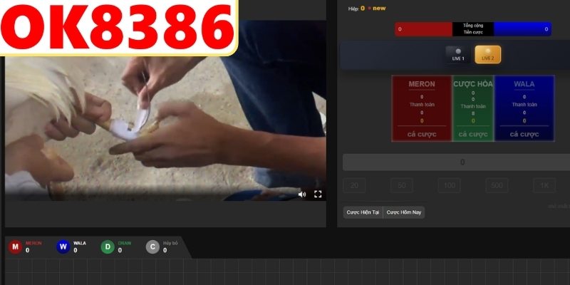 Không có kế hoạch quản lý vốn