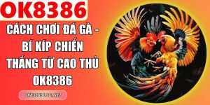 Cách Chơi Đá Gà