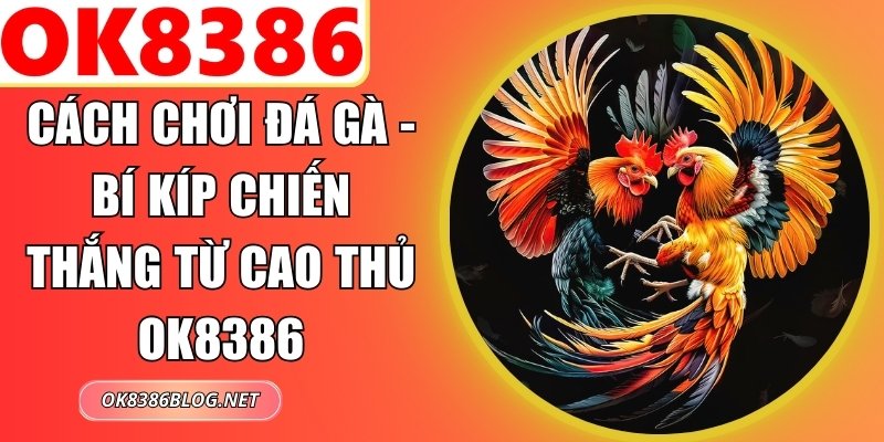 Cách Chơi Đá Gà