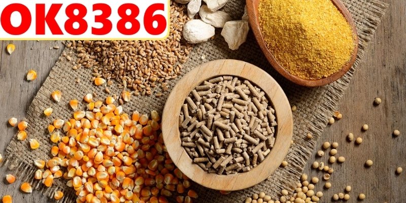 Chế độ dinh dưỡng giúp chiến kê sung mãn khỏe mạnh