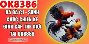 Đá Gà C1