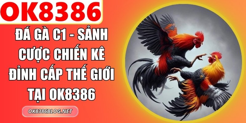Đá Gà C1