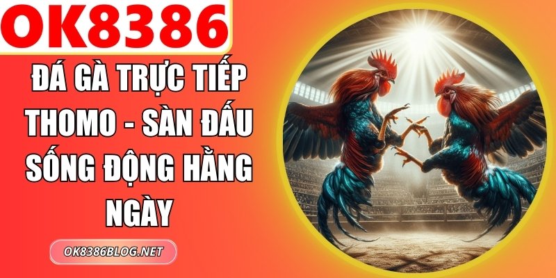 Đá Gà Trực Tiếp Thomo