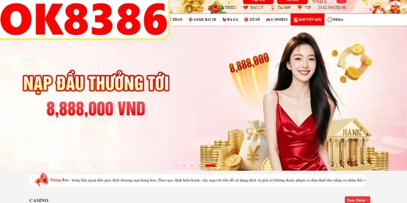 Tìm hiểu giấy phép hoạt động và vai trò quan trọng