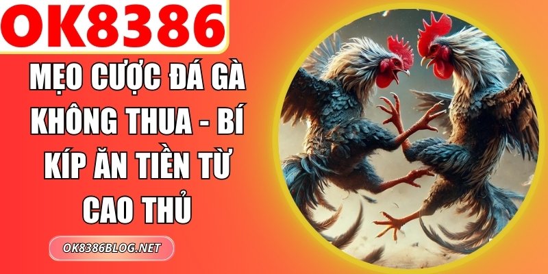 Mẹo Cược Đá Gà Không Thua